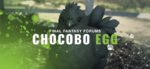 Chocobo Egg.png