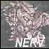 Nerv