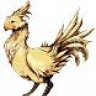 The Chocobo Within