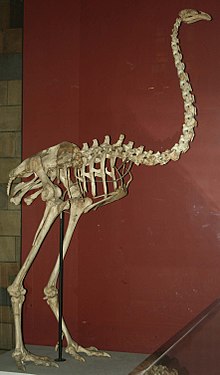 7761