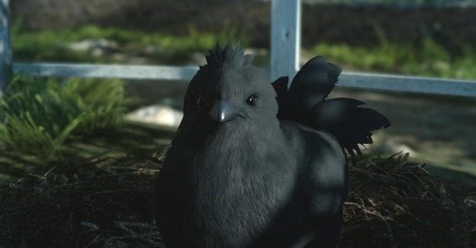Black Chocobo.jpg