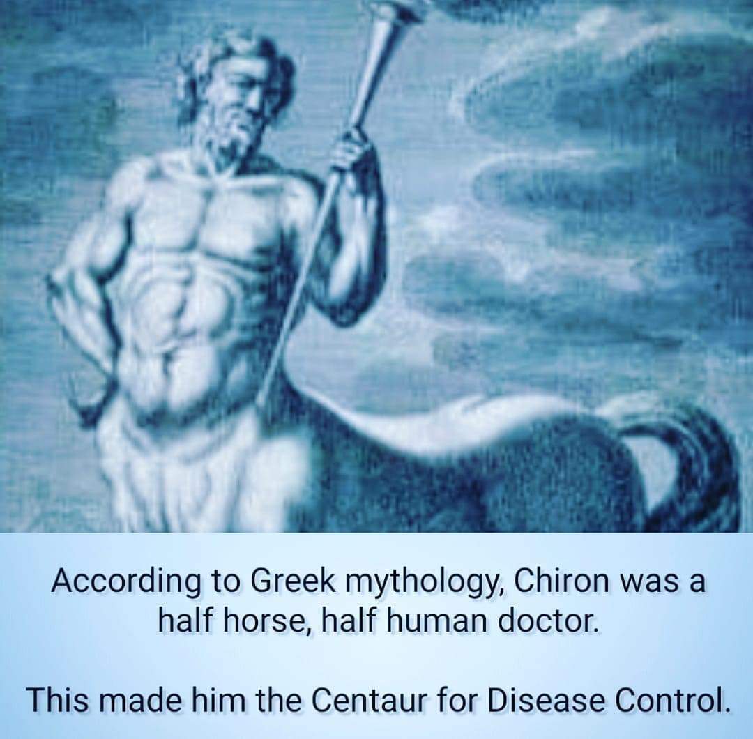 Ea8Vy3rVcAALx8m classical memes for hellenistic teens.jpg