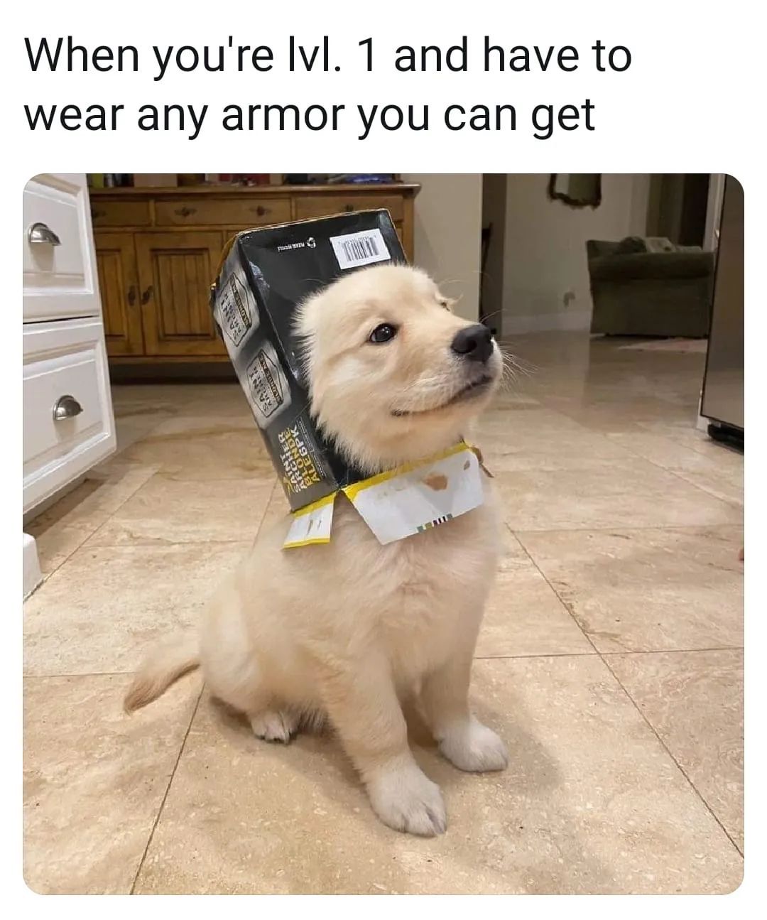 FB_IMG_1635579945954.jpg