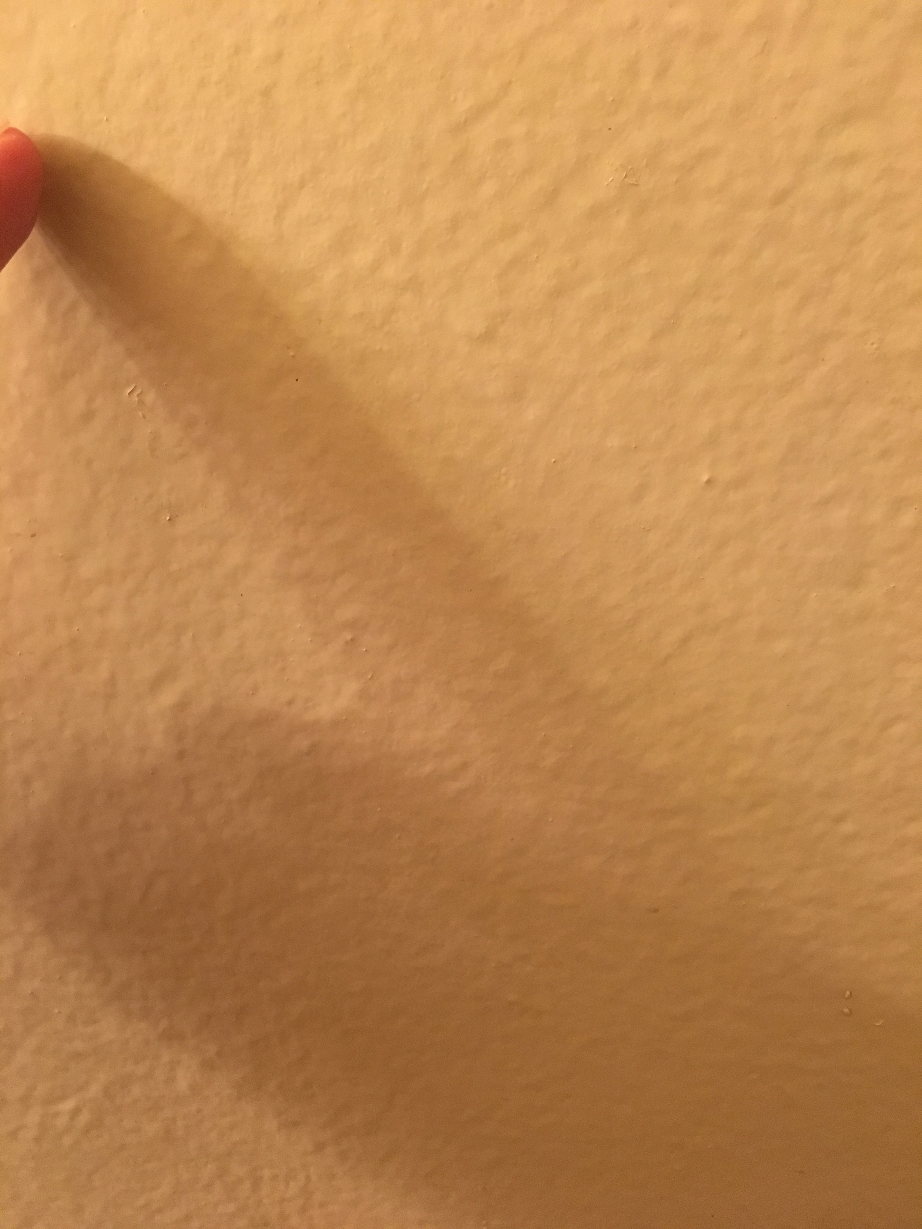 FD046A74-DDD9-41AE-842B-6D6D1DB8DA58.jpeg