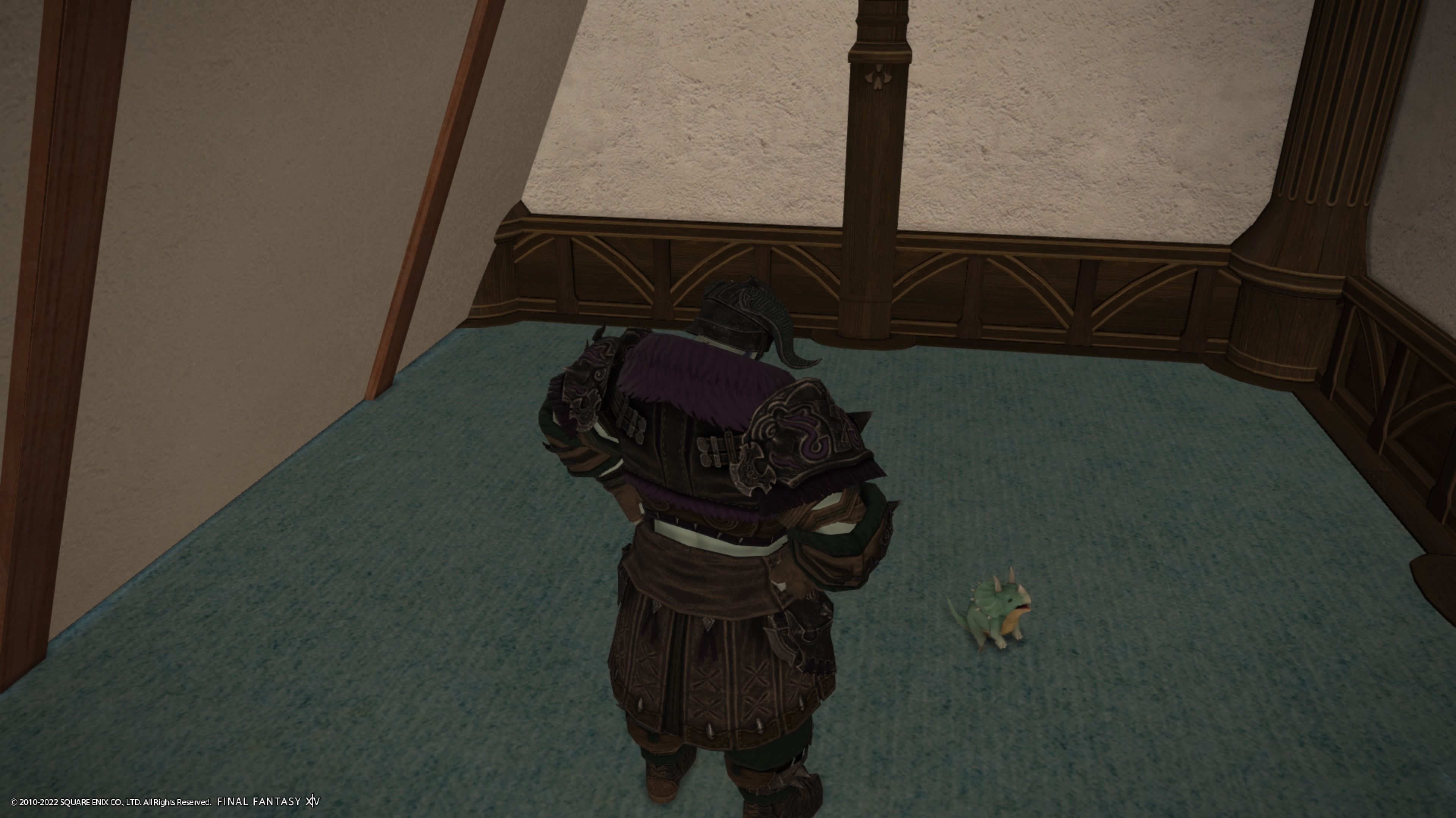FINAL FANTASY XIV Online_20220129164129.jpg