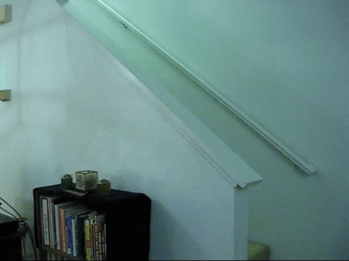 Flying cat.gif