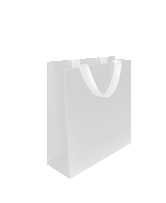 Ghost Bag 3.png