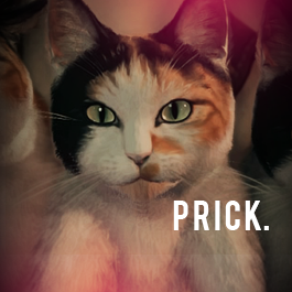 PRICKCATS.png