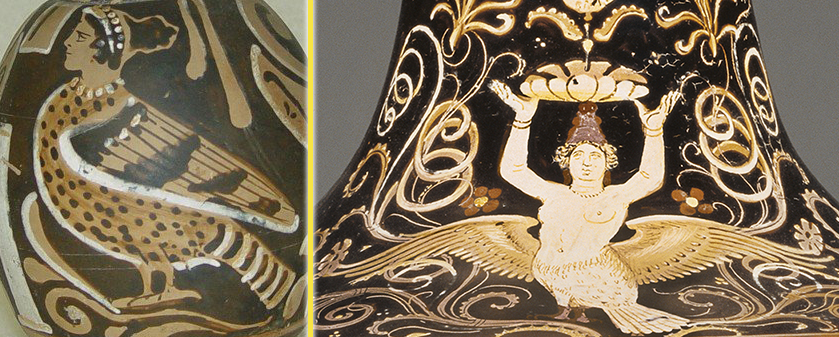 Siren forms - birds.png