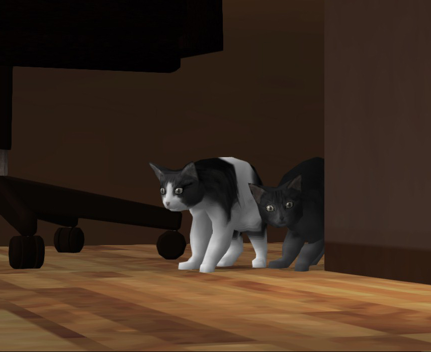 SOM CATS.JPG