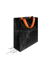 Spider Web.png
