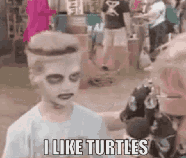 turtles.gif