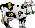 cash-cow.jpg