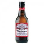 budweiser-435142.jpg