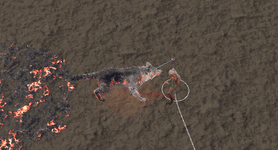 Discord_EfWtu0ILL4.gif