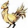Chocobo50