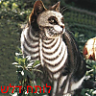 Skeleton Cat