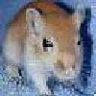 GrammaticalGerbil