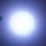 Rigel Orion