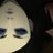 Shinoda_Ex