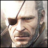 Gray Fox