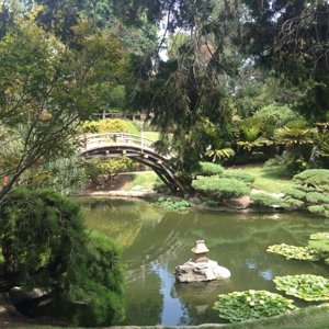 Final Fantasy IRL
