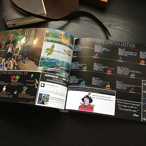 FFF 2017 Photobook 13