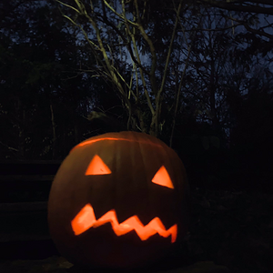 2019 October Photo Challenge Pumpkin