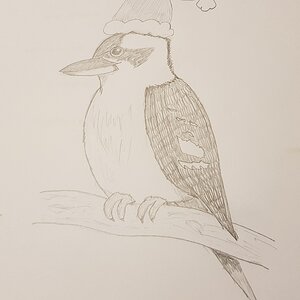 2018 12 Days of Christmas Drawing Prompts Entry