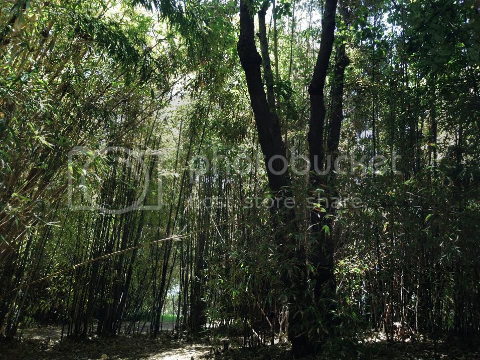 2014 Photography Entry