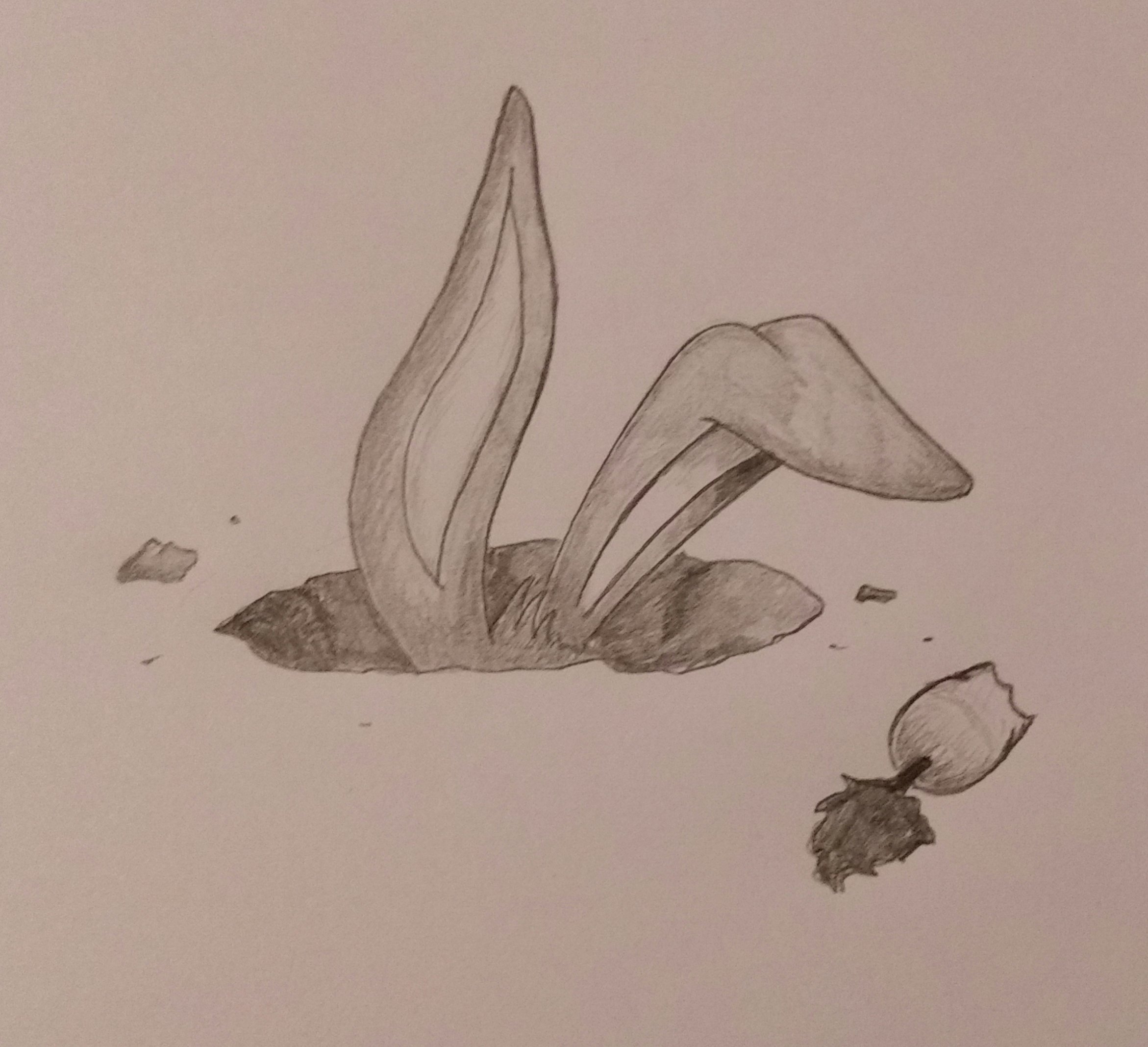 2018 September FFF Drawing Prompts