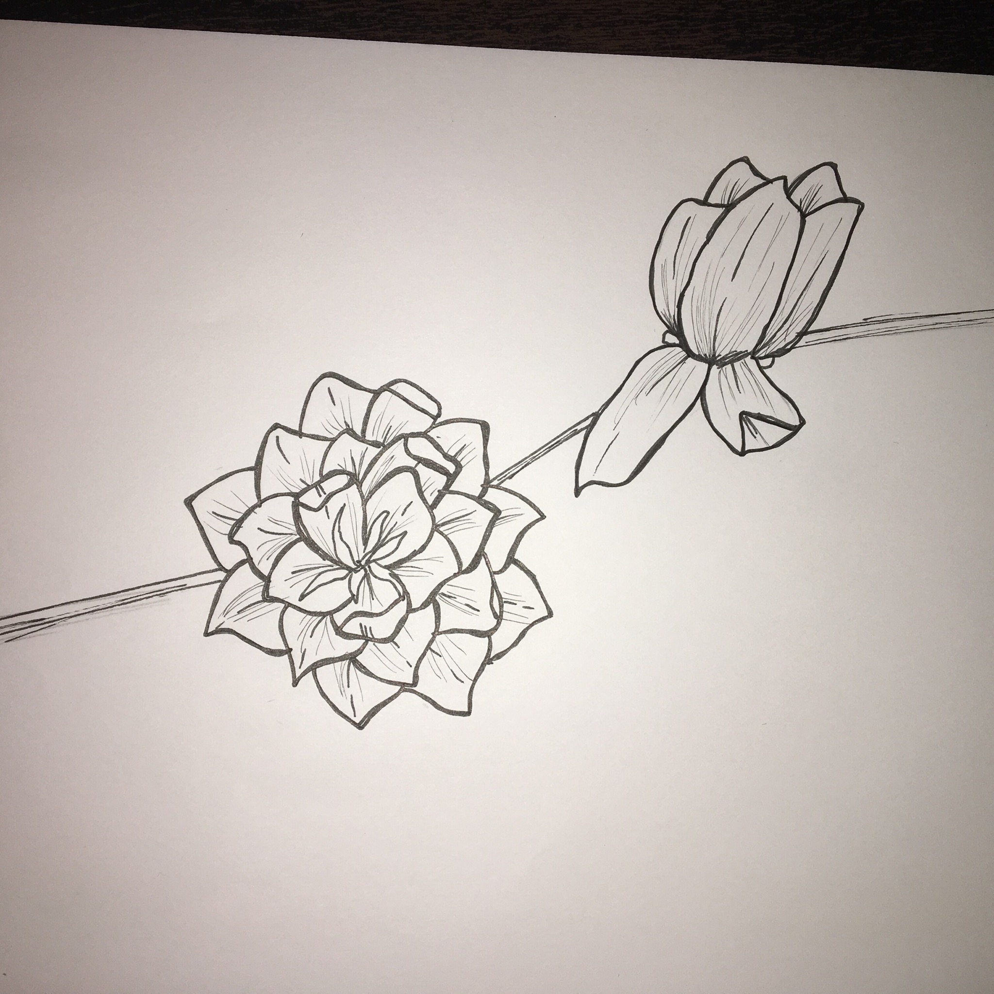 2018 September FFF Drawing Prompts