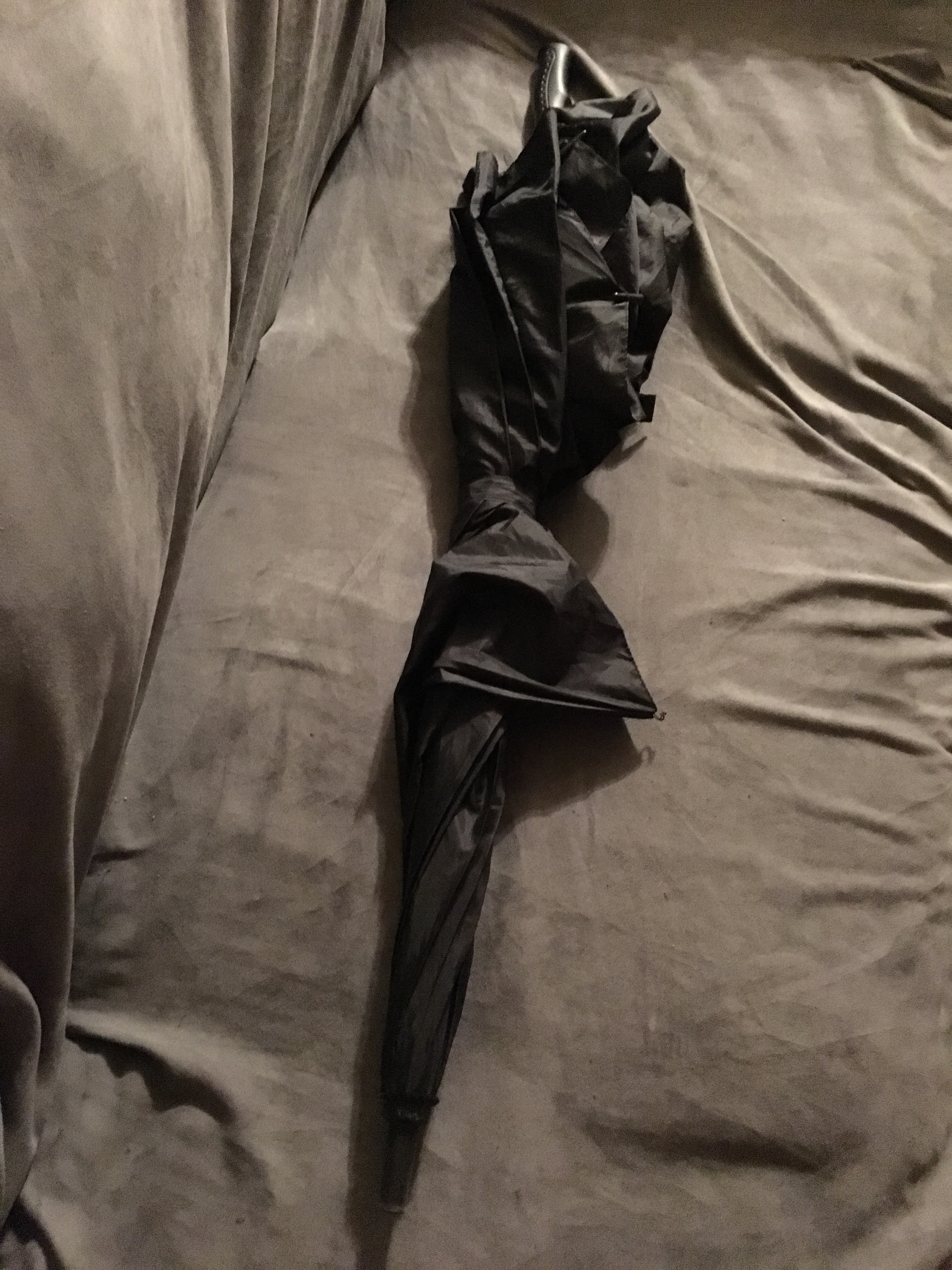 2019 October Photo Challenge Umbrella