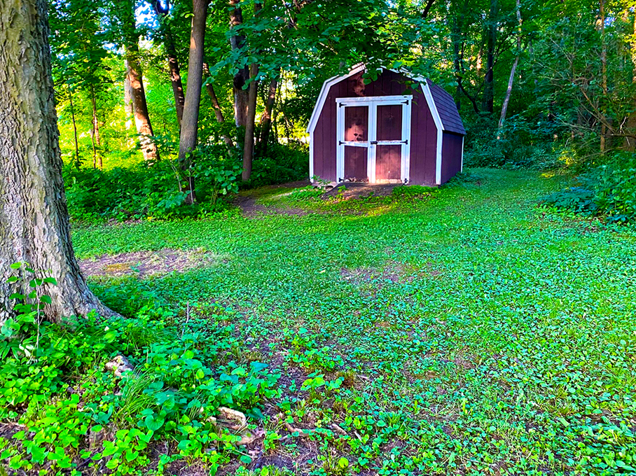 2020 Photo Entry: Moogle Hideout