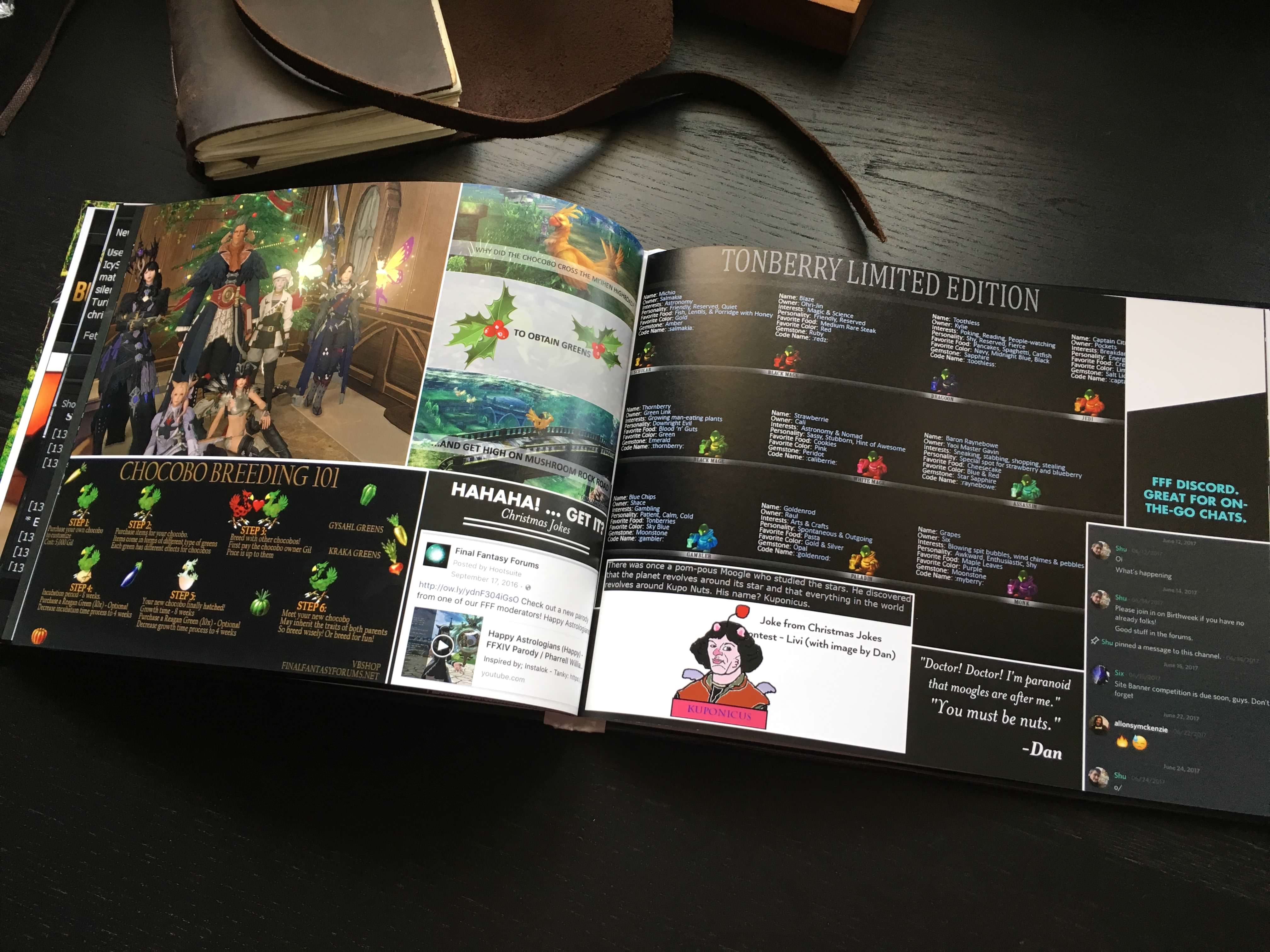 FFF 2017 Photobook 13