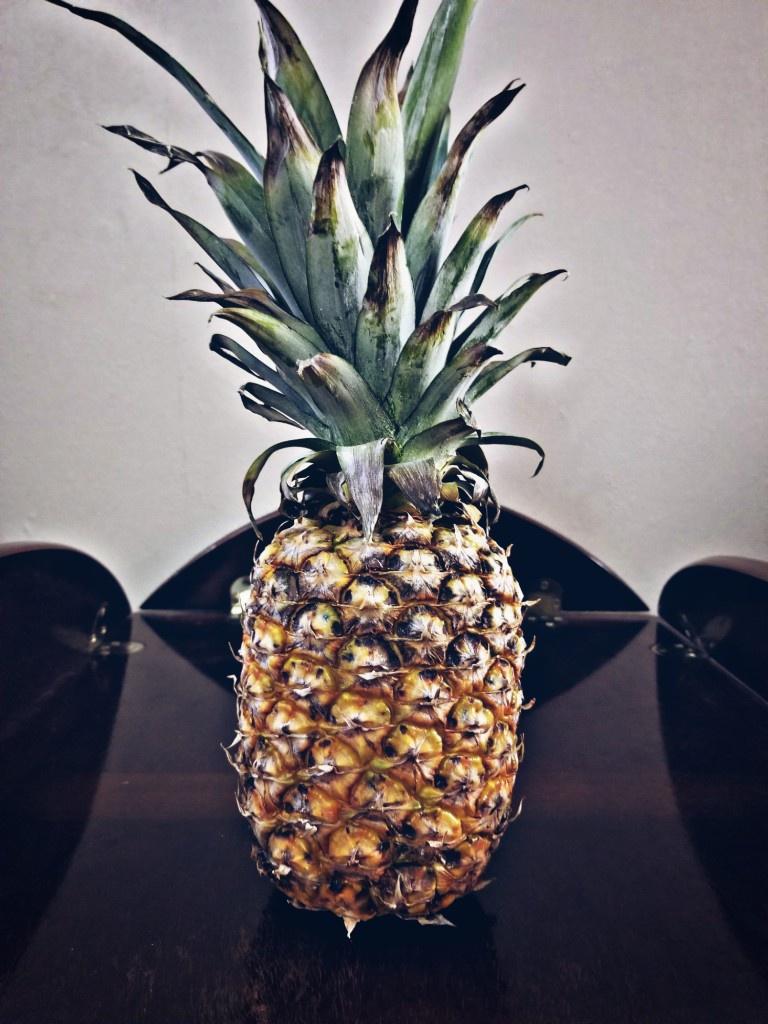 Prickly Pineapple (by sly and Tiberius)